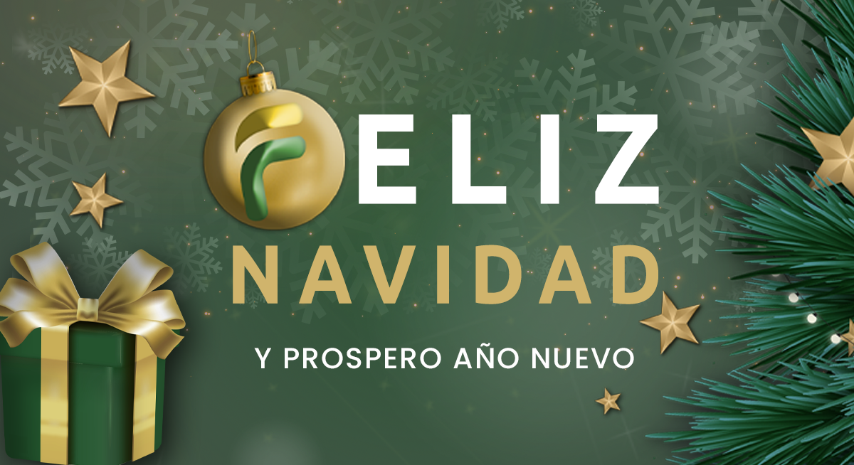 Faycom os desea Felíz Navidad y prospero año nuevo